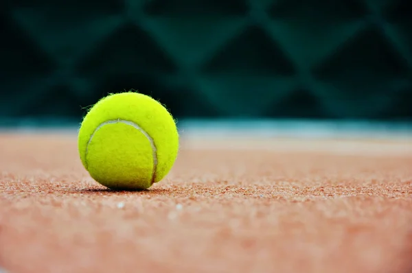 テニス ・ ボール — ストック写真