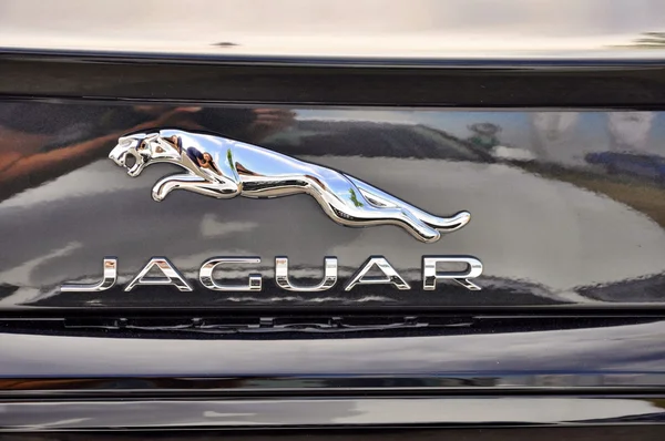 Logo of Jaguar XF — Stock Photo, Image