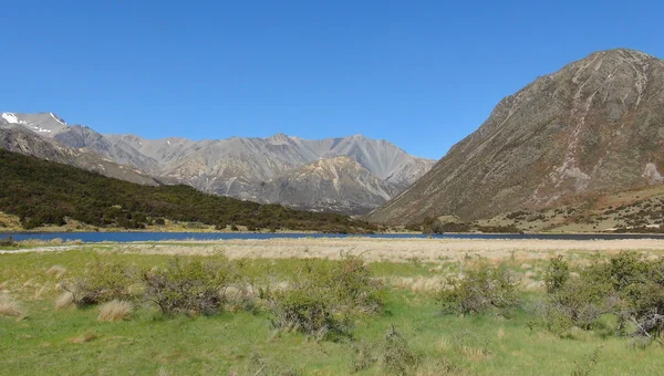 Nuova Zelanda natura — Foto Stock