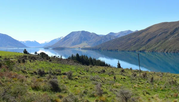 Nieuw-Zeeland-natuur — Stockfoto