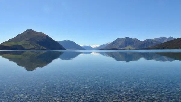 New Zealand nature — Stock Photo, Image