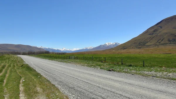 New Zealand nature — Stock Photo, Image