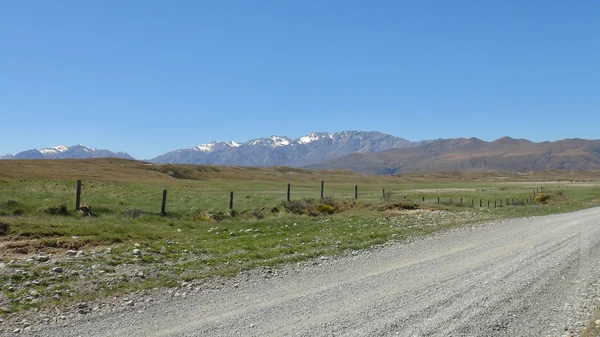 Yeni Zelanda doğa — Stok fotoğraf