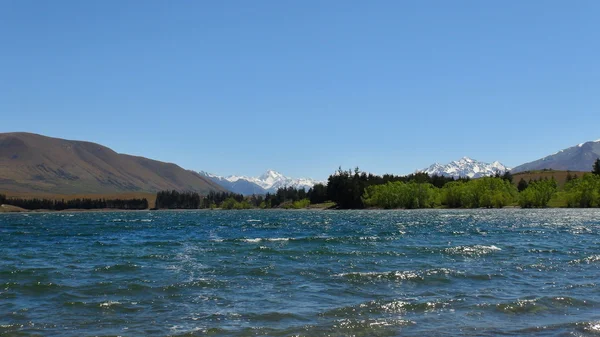 Nueva Zelanda naturaleza — Foto de Stock