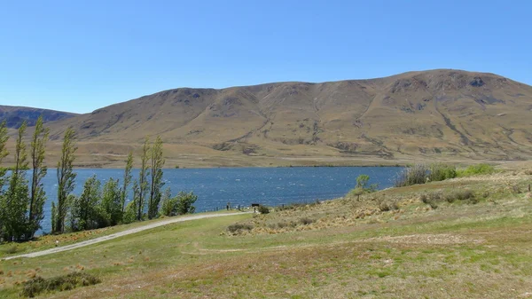 New Zealand nature — Stock Photo, Image