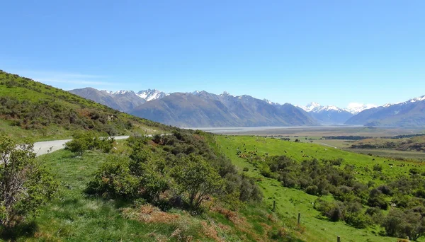 New Zealand nature — Stock Photo, Image