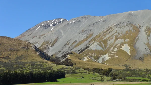ニュージーランドの自然 — ストック写真