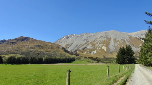 New Zealand nature — Stock Photo, Image