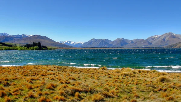 Nueva Zelanda naturaleza — Foto de Stock