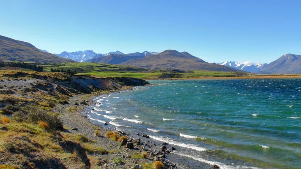 Nueva Zelanda naturaleza — Foto de Stock