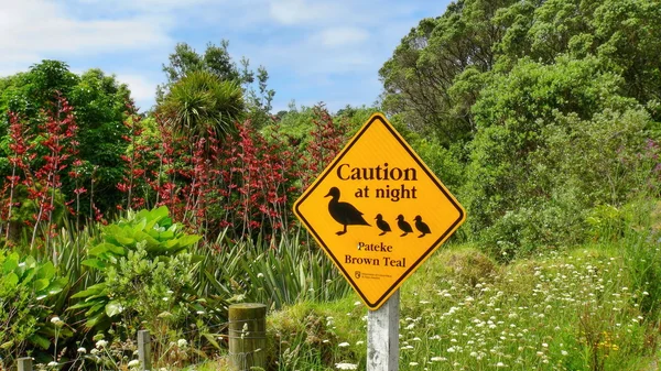 ニュージーランドの自然 — ストック写真