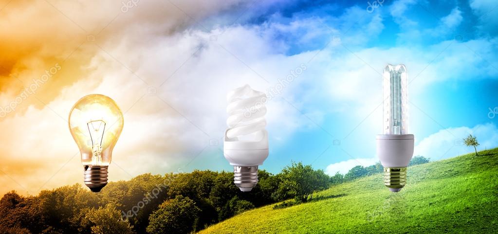 Comparison between various types of light bulb on landscape back