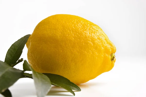 Peça Limão Sobre Base Branca Fundo Isolado Branco Composição Horizontal — Fotografia de Stock