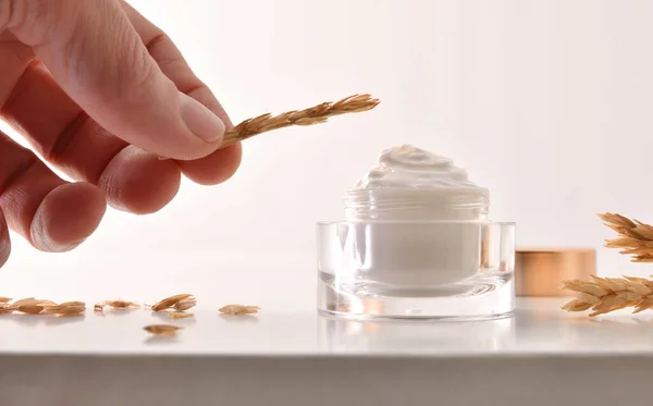 Oat body and facial moisturizer cream in glass jar with spikes on white table and hand holding spike with white isolated background