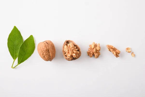 Kousky Ořechů Jako Sušené Ovoce Seřazené Bílém Stole Horní Pohled — Stock fotografie