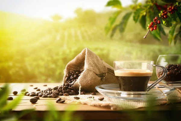 Frissen Készített Kávé Asztalon Zsákkal Teli Babbal Növényekkel Kávéültetvényekkel Háttérben — Stock Fotó