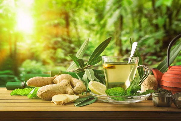Чашка Зеленого Чая Лимонной Мятой Имбирем Деревянном Столе Растениями Чайником — стоковое фото