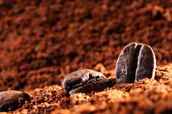 Three grains on a heap of coffee — Stock Photo, Image