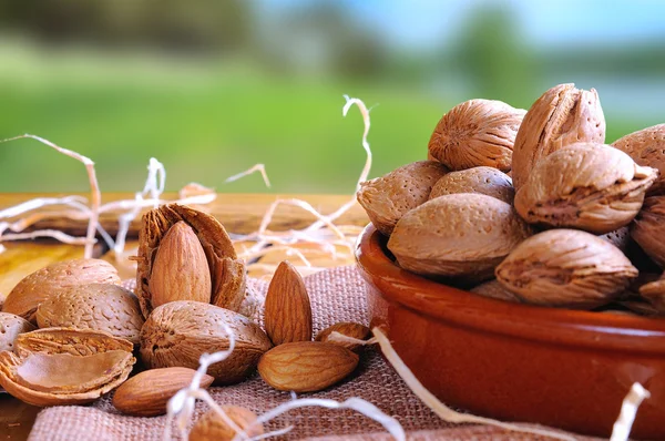 Group of almonds on a table in the field front view — Stock Photo, Image