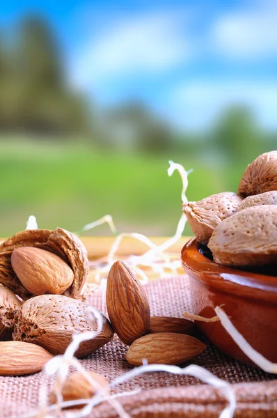 Group of almonds on a table in the field vertical composition — Stock Photo, Image