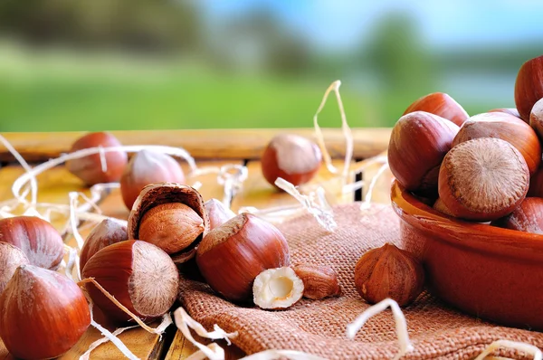 Group of  hazelnuts on a wooden table in field front view — Stock Photo, Image