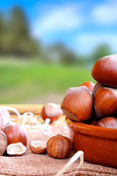 Group of  hazelnuts on a wooden table in field vertical composit — Stock Photo, Image