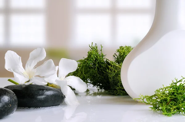 Beauty product with seaweed in a bath — Stock Photo, Image