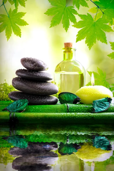 Alternative treatments of natural essences vertical composition — Stockfoto