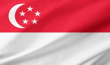 Singapur bayrağının arkaplan ayrıntıları, el sallayan kumaş dokusu ile tüm çerçeveyi işgal ediyor.