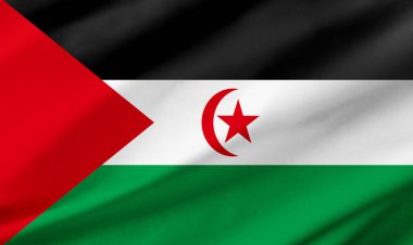 Sahra Arap Demokratik Cumhuriyeti bayrağının arkaplan ayrıntıları el sallayan kumaş dokusu ile tüm çerçeveyi işgal ediyor..