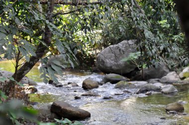 Şelale, nehir ve kaya veya nehir arkaplanı
