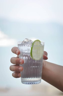 limonlu soda veya tonik, soda veya kokteyl veya İtalyan gazozu