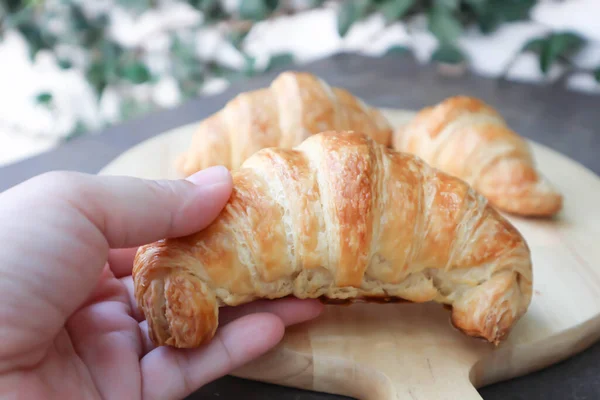 Croissant Französisches Croissant Oder Französisches Brot Zum Servieren — Stockfoto