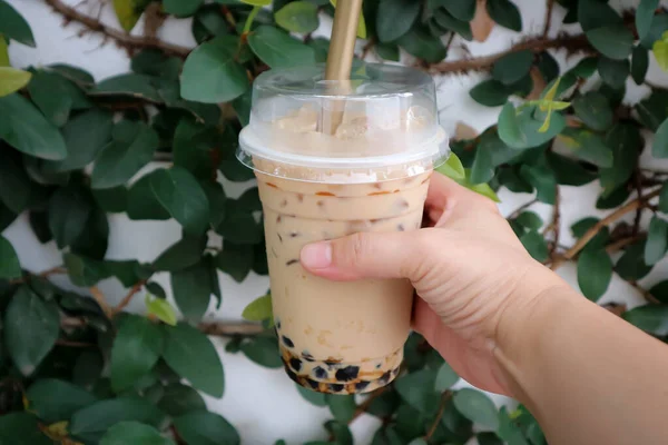 Eistee Milchtee Oder Bubble Tea Zum Servieren — Stockfoto