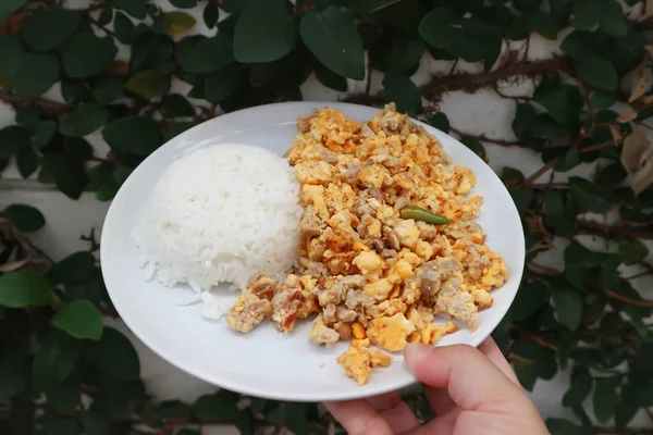 Omelet Thai Omelet Thai Omelette Stir Fried Egg Rice Serve — Stok Foto