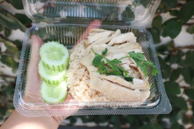 Tavuklu pilav, tavuklu pilav ya da Çin tavuklu pilav.