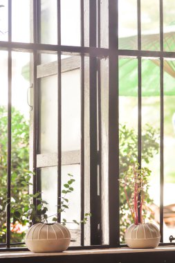 bitki vazo içinde belgili tanımlık pencere eşiği yakın: