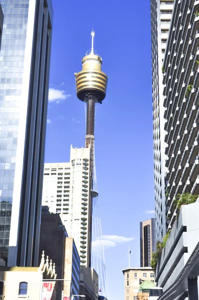Torre di Sydney — Foto Stock