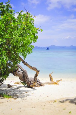 tekne, deniz, dağ, plaj ve gökyüzü arka plan