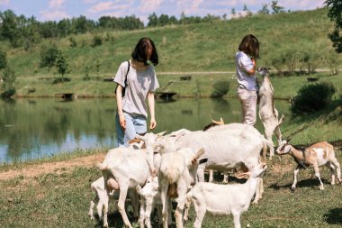 Girls feed goats in a clearing in the forest