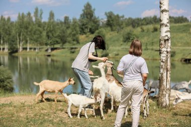 İki kız nehir kenarındaki bir açıklıkta keçileri besliyor.