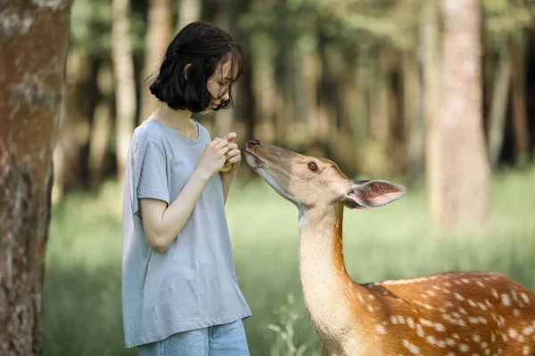 Girl Feeding Cute Spotted Deer Bambi Petting Zoo Happy Traveler — Stock Photo, Image