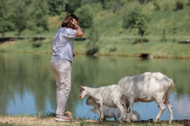 Girl feeds and plays with goats on a farm