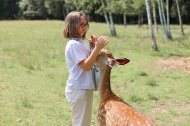 A girl feeding cute spotted deer bambi at petting zoo. Happy traveler girl enjoys socializing with wild animals in national park in summer. Baby fawn deer playing with people in contact zoo