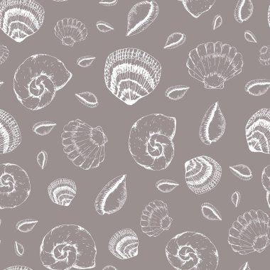 Vektör pastel çıplak deniz kabukları. Arka plan pürüzsüz desen izi.