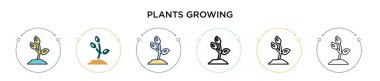 Bitkiler ikon olarak büyürler, ince çizgi, ana hatlar ve vuruş stili. Mobil, ui, web için iki renkli ve siyah bitki büyüyen vektör simgeleri tasarımı vektör illüstrasyonu kullanılabilir