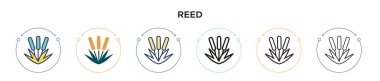 Reed simgesi dolu, ince çizgi, özet ve vuruş stili. Mobil, ui, web için iki renkli ve siyah sazlık vektör ikonu tasarımı vektör çizimi kullanılabilir