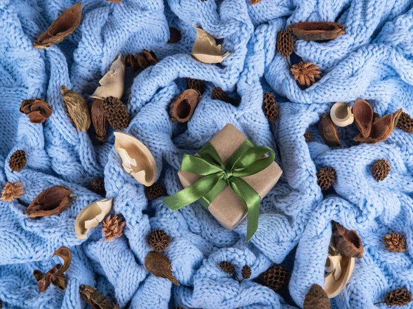 Um presente no fundo de malha de lã azul pálido com objetos de plantas secas. Fotos De Bancos De Imagens