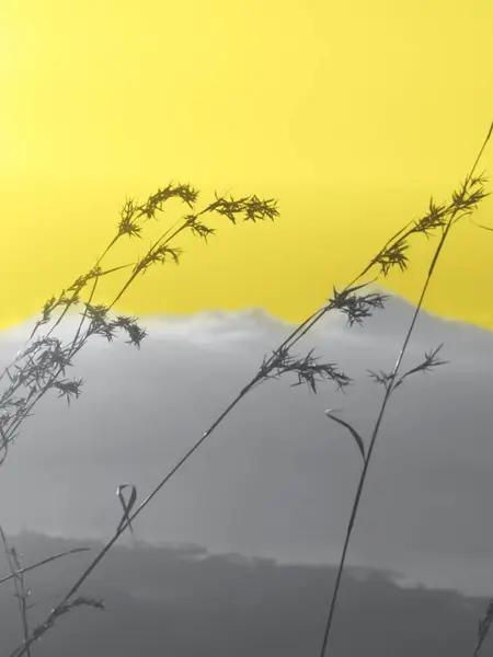 De zonsopgang in de bergen in de trendy lichtgevende gele en ultieme grijze kleuren van het jaar. — Stockfoto