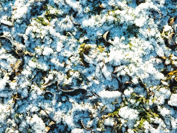 Den vackra närbilden av den snöiga gläntan i solen. Den pittoreska vintern bakgrund. Selektiv inriktning. — Stockfoto